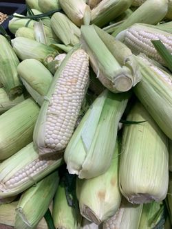 Elote