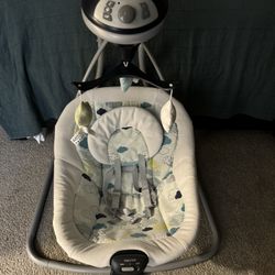 Graco Swing