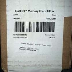 Foam Pillows Queen Size