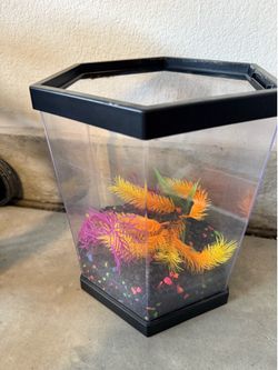 1 gallon fish tank with supplies