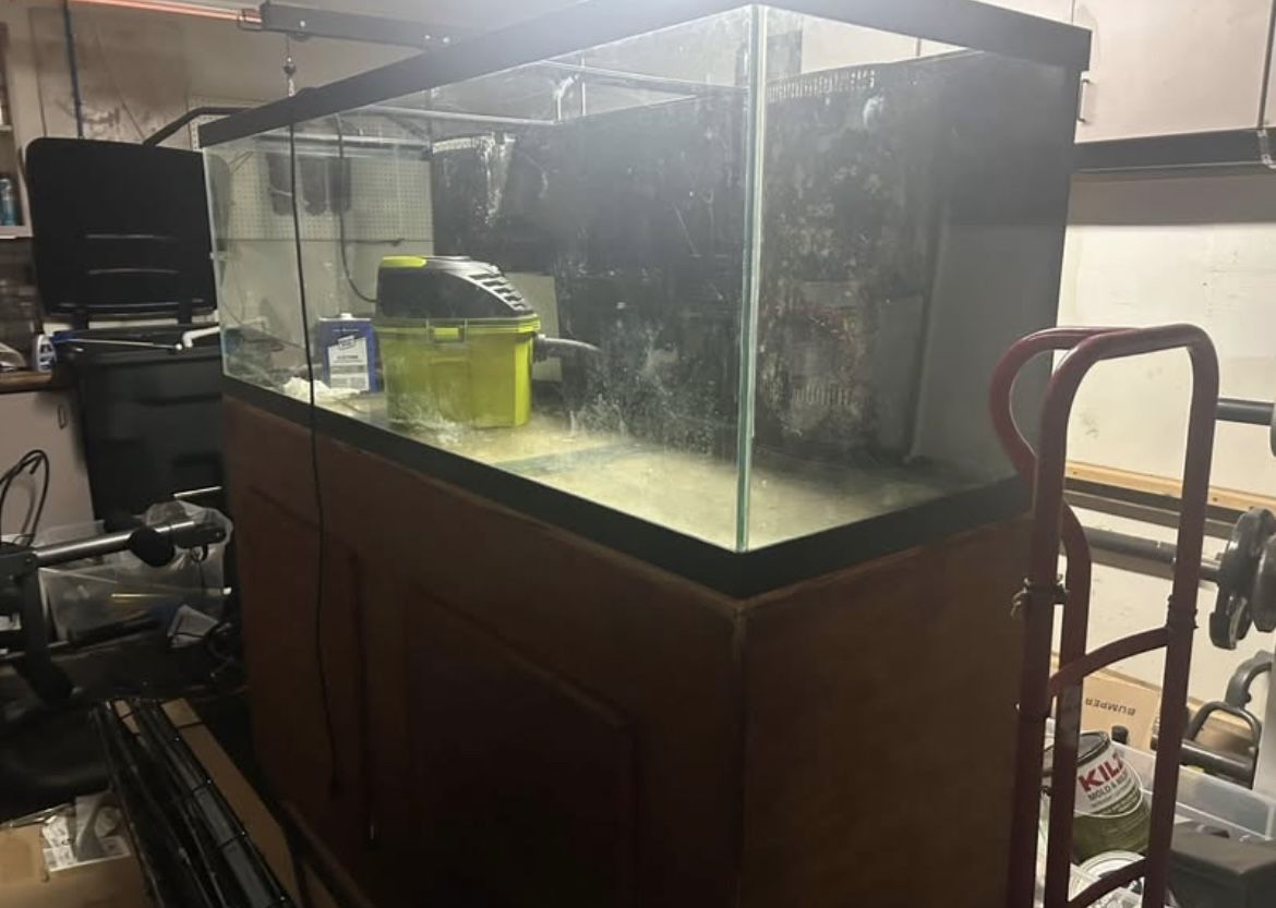 180 Gallon Fish Tank