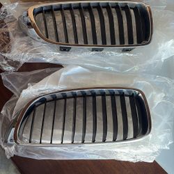 BMW Grill