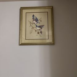 Artist Signed Hand Painted Bird Painting 
