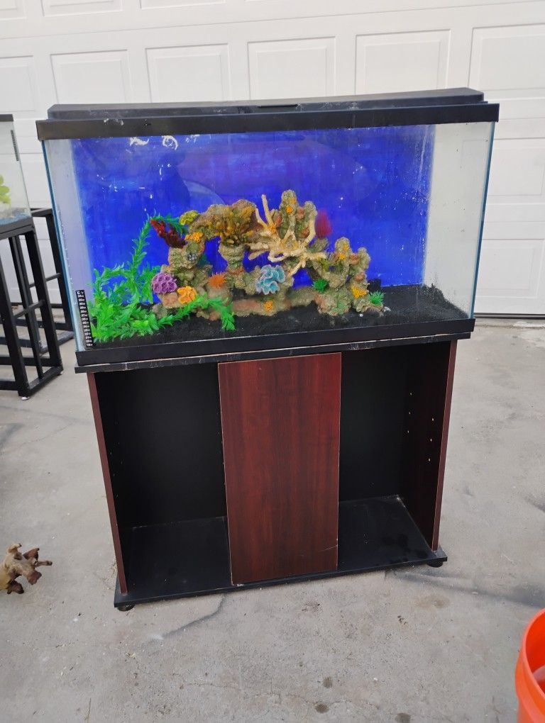 40 Gallon Aquarium With Stand 