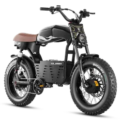 DL2000 Dual Motor E-Bike