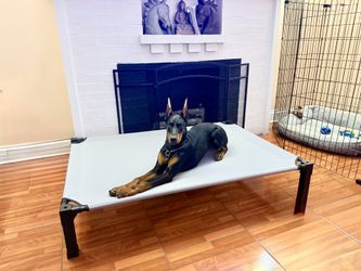 Large Dog Pet Trampoline Style Bed Gray