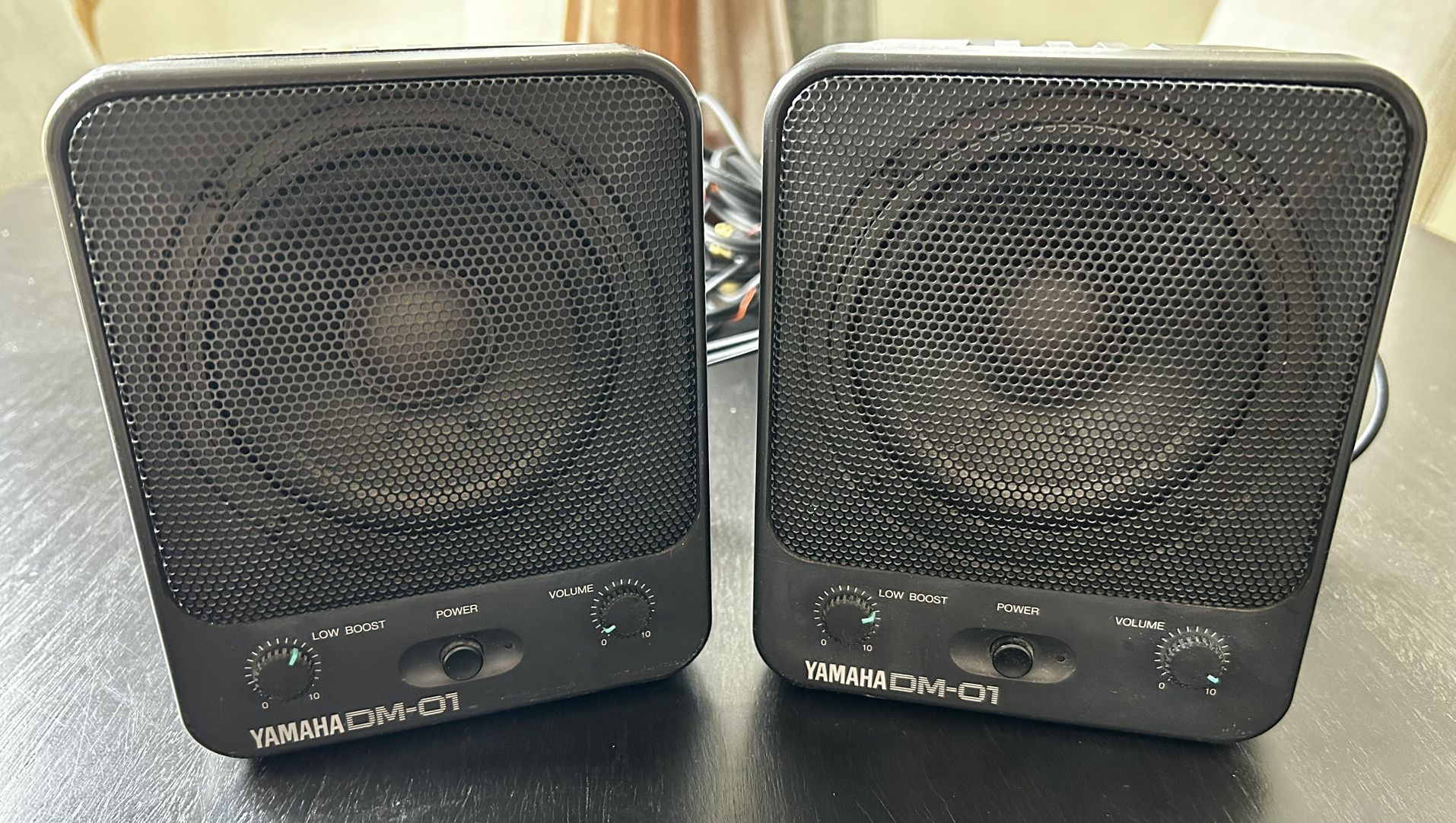 Pair of Yamaha DM-01 Speakers