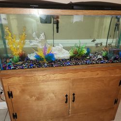 65 Gallon Fish Aquarium And Cabiney