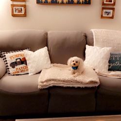 Reclining Couch
