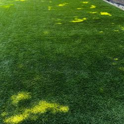 Artificial Grass 12x15