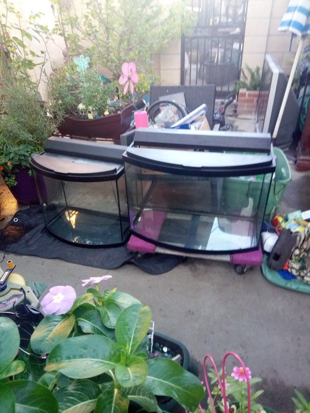 Fish Tanks And Fish Aec.