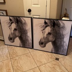 Horse Portrait 