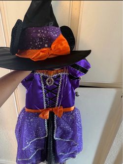 Disney Minnie Mouse Costume