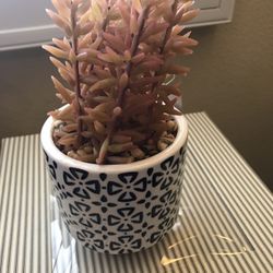 OU06006 Artificial Succulent In Ceramic Pot