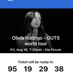 Olivia Rodrigo Guts World Tour Pit Tickets 