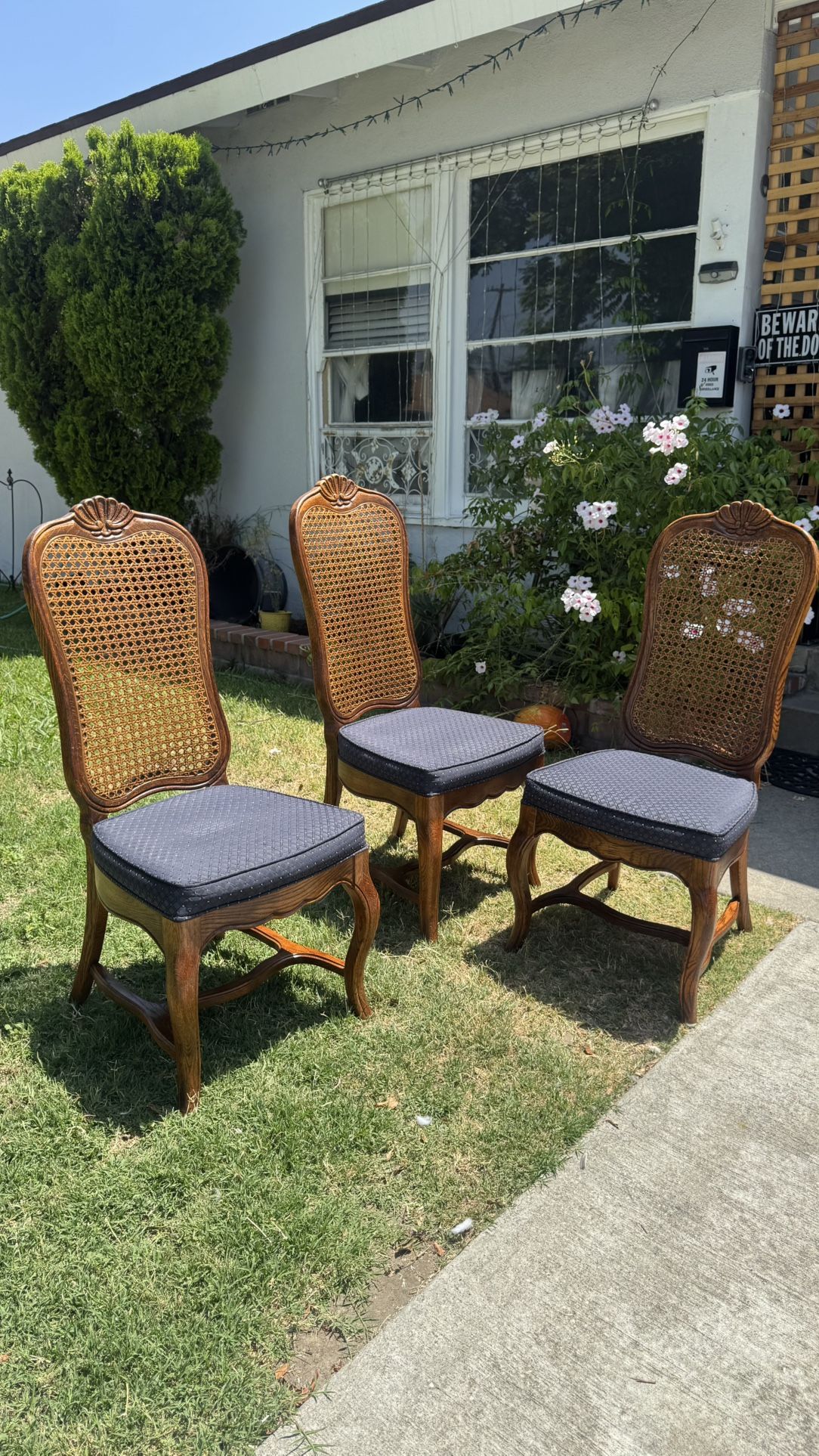 Vintage Rattan Wood Furniture Chairs