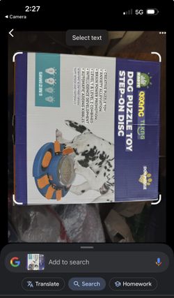 Dog Puzzle Toy Step-On Disc