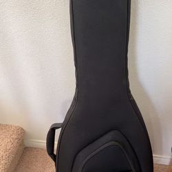 guitar bag