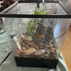 Small Aquarium