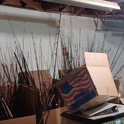 Fishing Rods And Reels Mostly Rods Salt Fresh