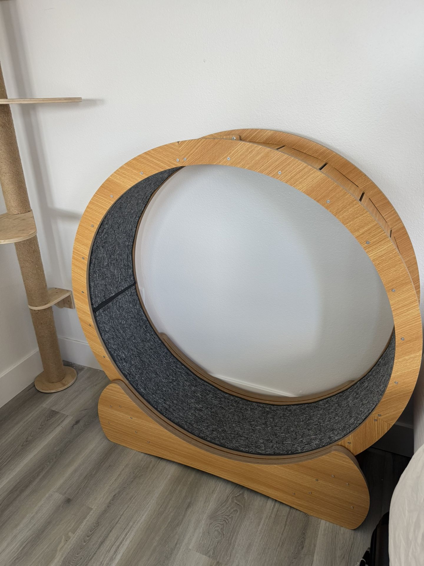 Large cat wheel / treadmill