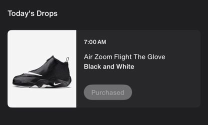 nike air zoom flight THE GLOVE