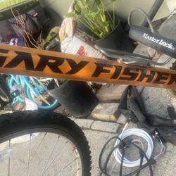 Male Mountain Bike