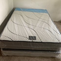 Full  Size     Orthopedic     $250    