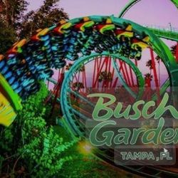 Busch Gardens 