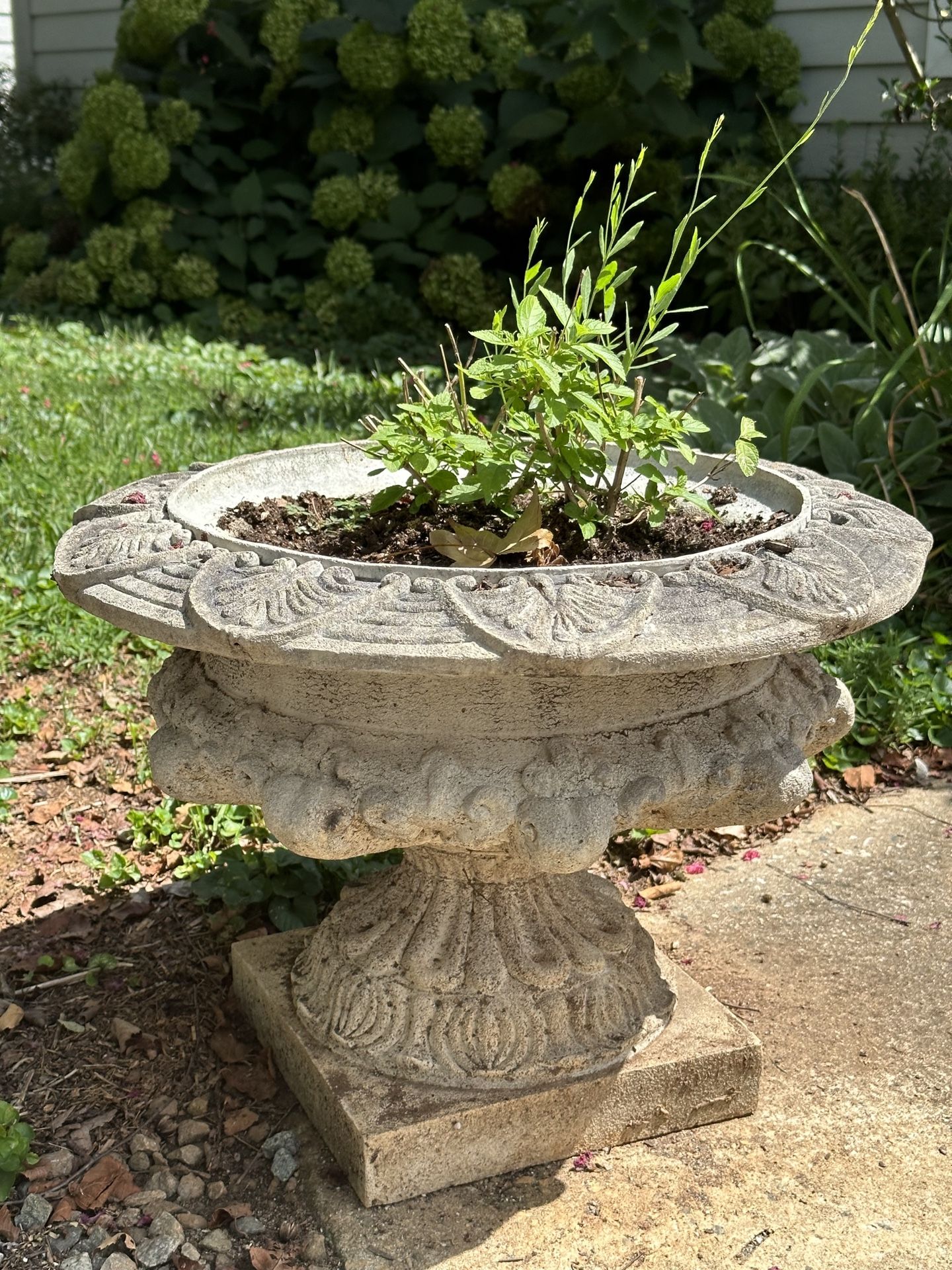 Vintage Concrete Planters