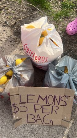 LEMONS ($5 PER BAG)