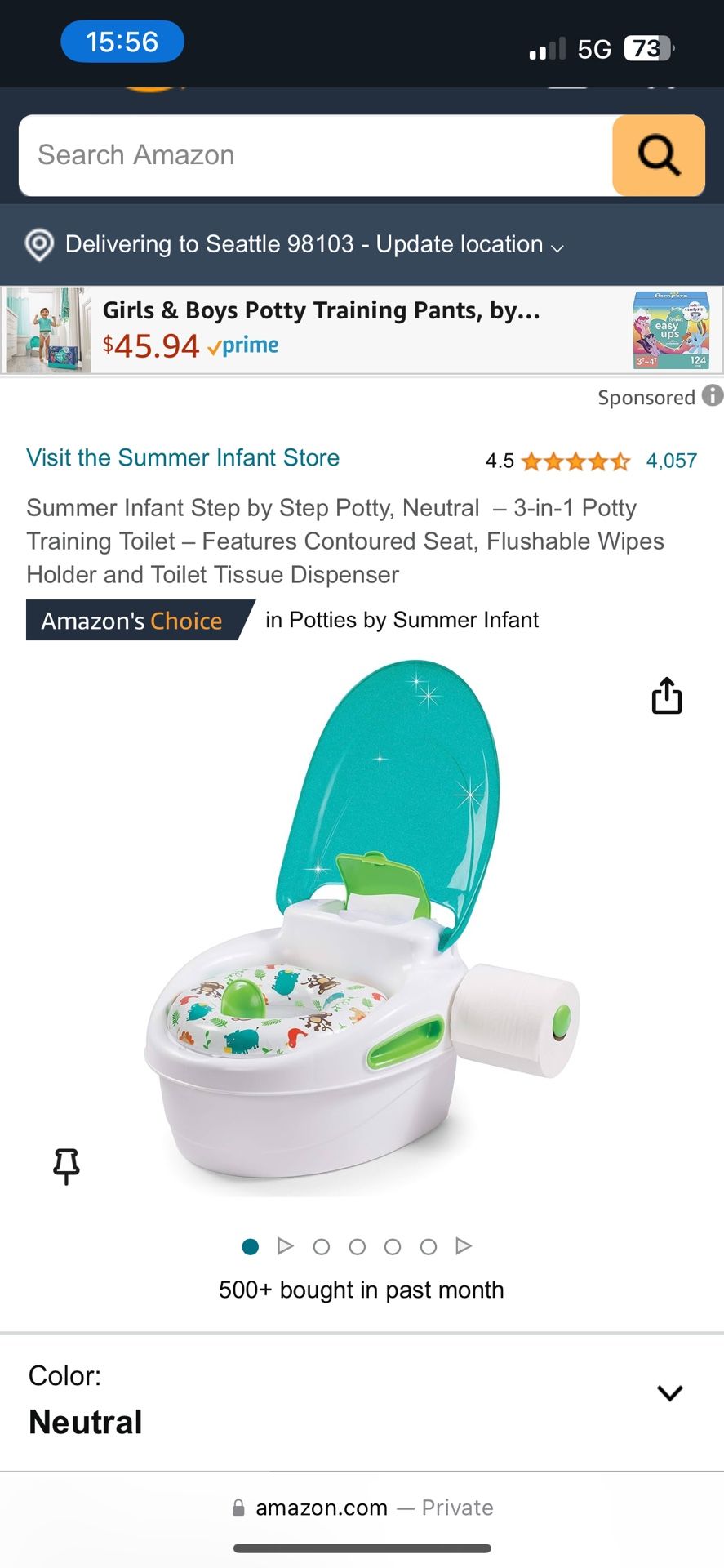 Potty Seat