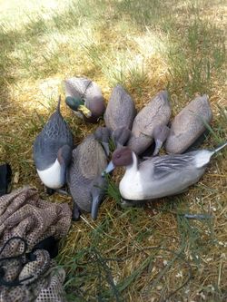 Duck decoys