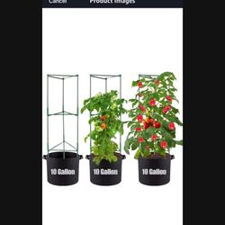 Heavy Duty Tomato Plant Cages