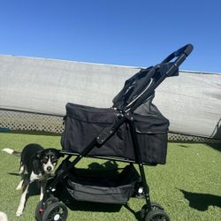 Animal Stroller
