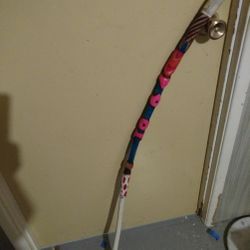 Walking Stick