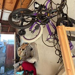 Little bicycle for girl and boy