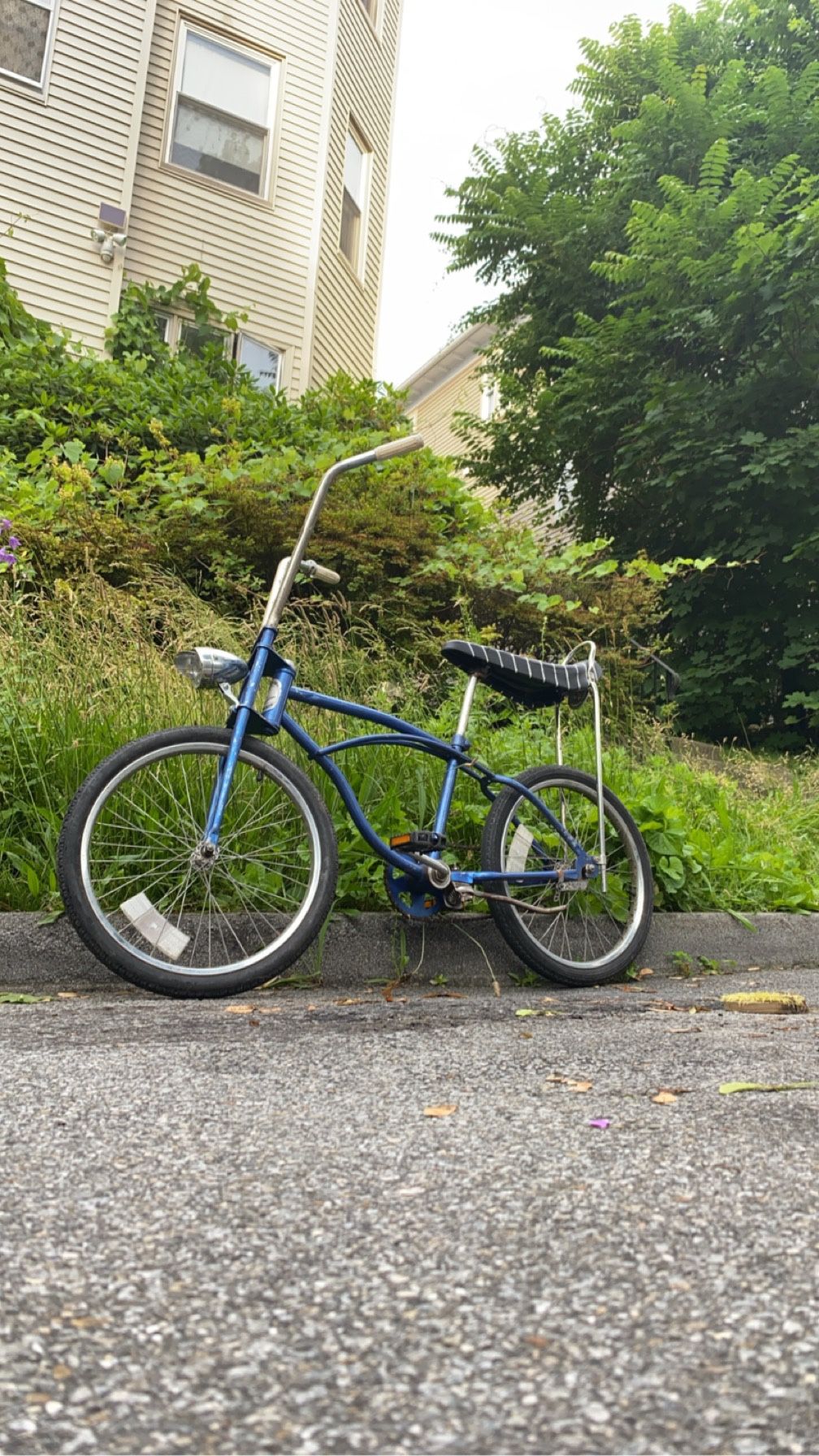 1960's Western Flyer Banana Seat Bicycle - Buzz Bike