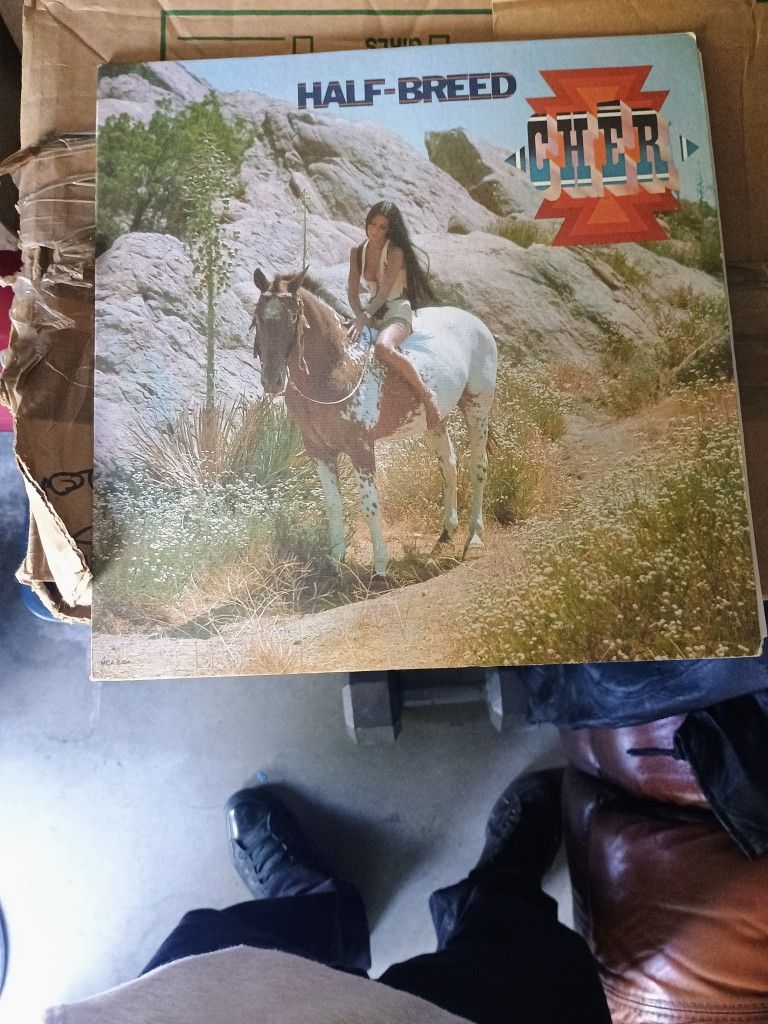 Cher Vinyl Record