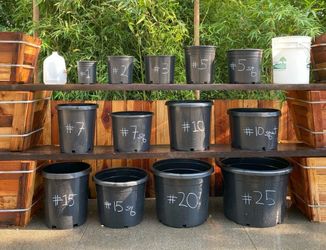 Nursery Pots ~ ! ~