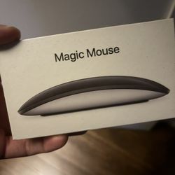 Apple New Mouse 