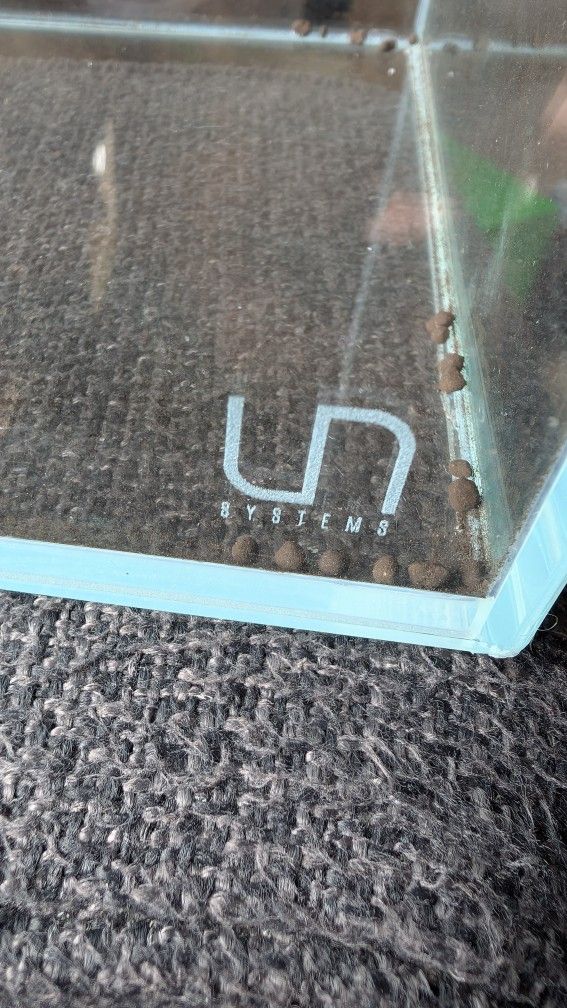 Rimless Tank