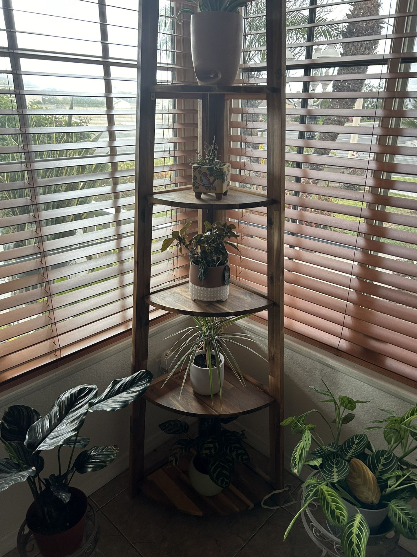 Wood Plant Holder