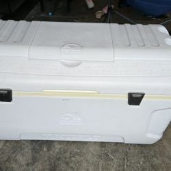Igloo Cooler 