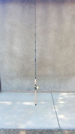 Fishing rod and reel