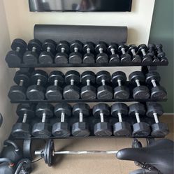 Troy Weights And Rack 15 Sets 5-75 Pounds 
