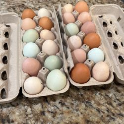 Farm Fresh Eggs 