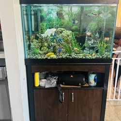 Fish Tank 65 galons Everything Included 