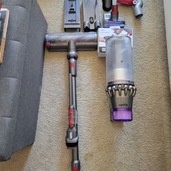 Dyson Outsize