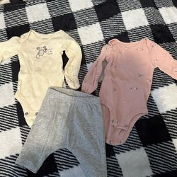 Newborn mouse set